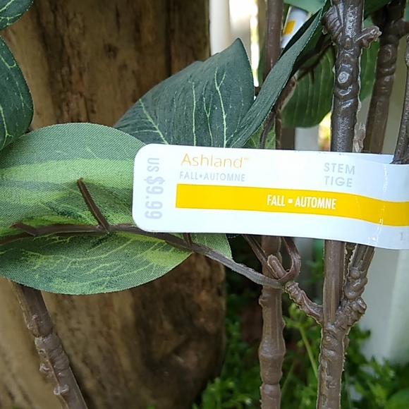 FLORALS - Picture 4 of 6